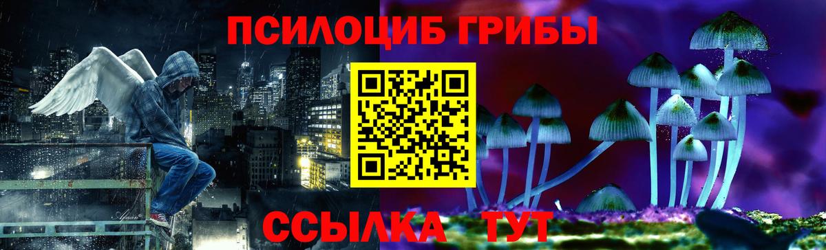 Псилоцибиновые грибы Magic Shrooms Майкоп